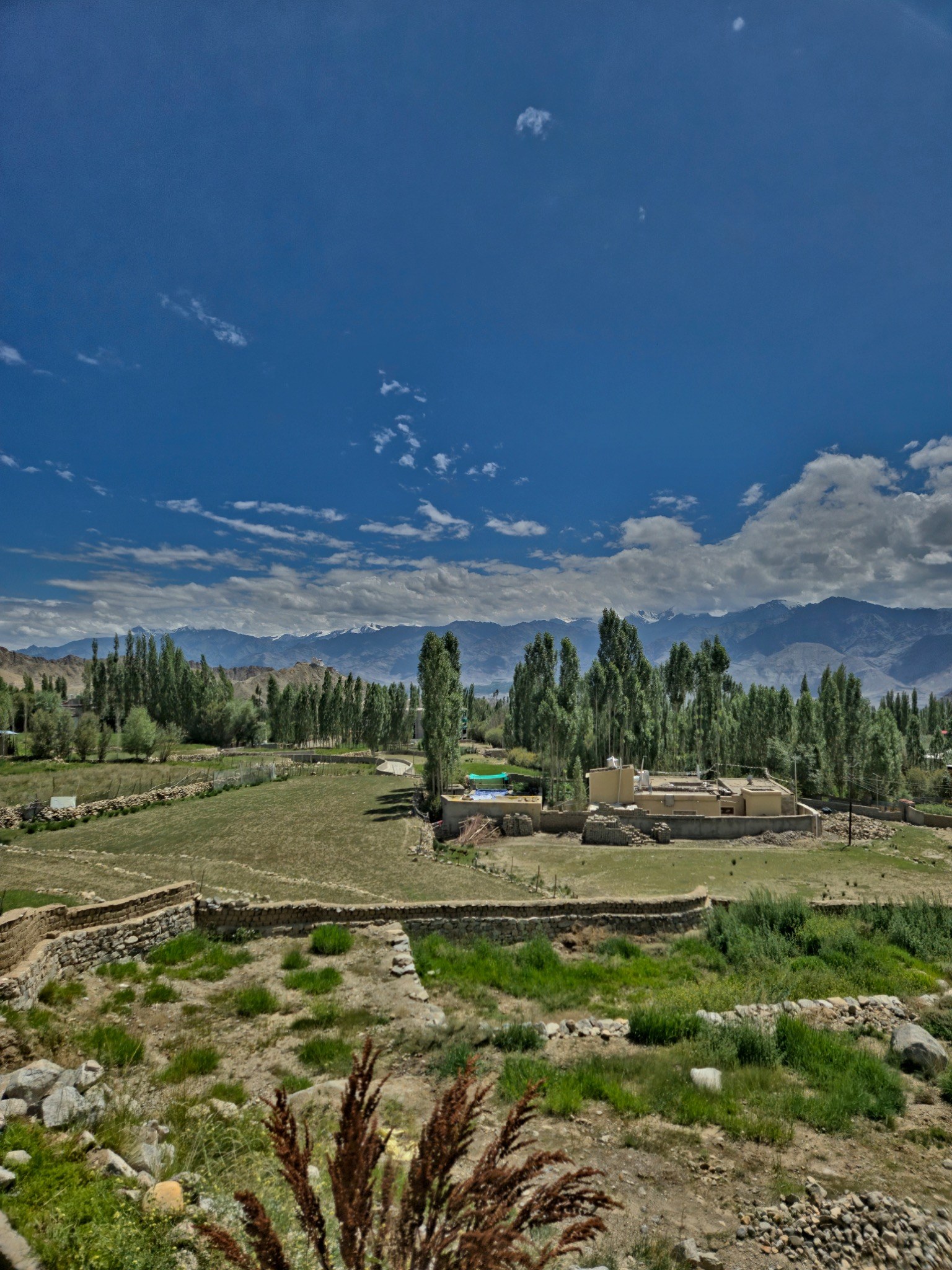 Ladakh valley and distant mountain range